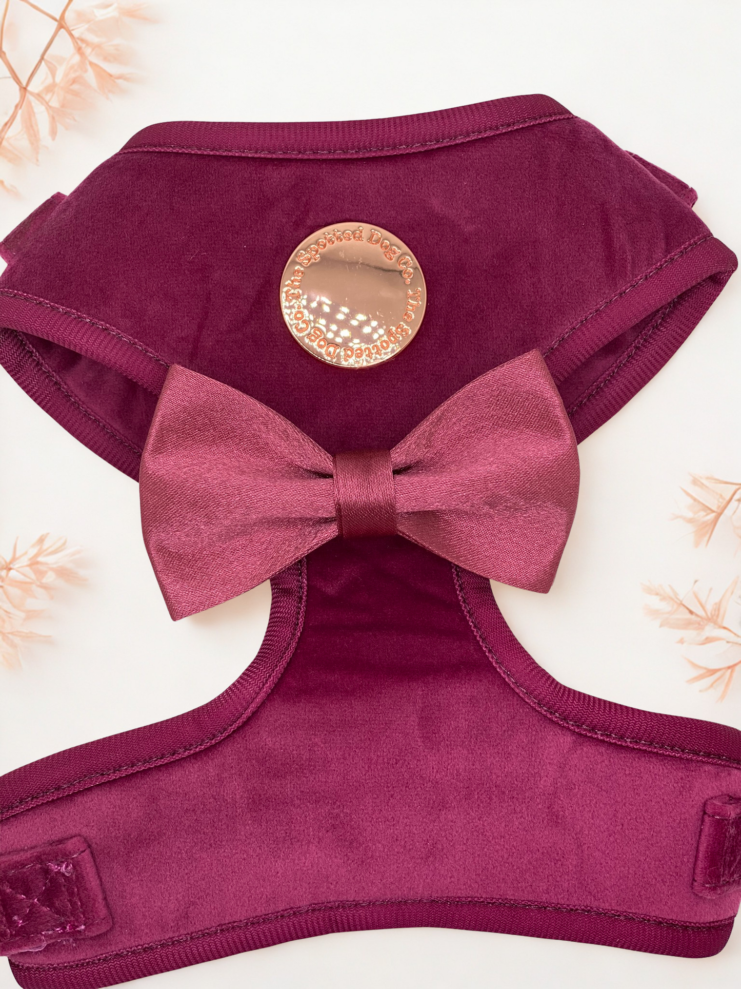 Cranberry Dog Walking Set