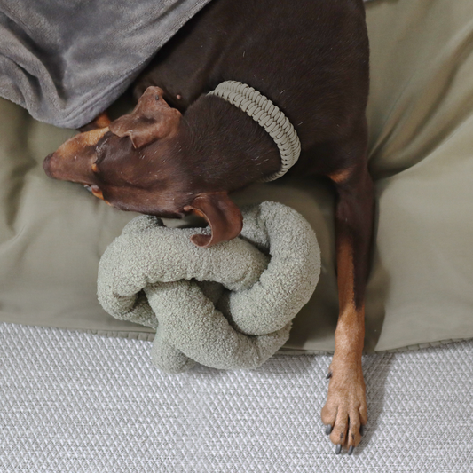 O NOU | oversized//ENRICHMENT DOG TOY: Sage