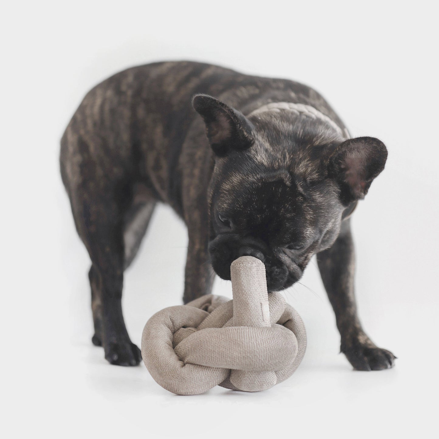 NOUNOU | gray with bell balls//ENRICHMENT DOG TOY