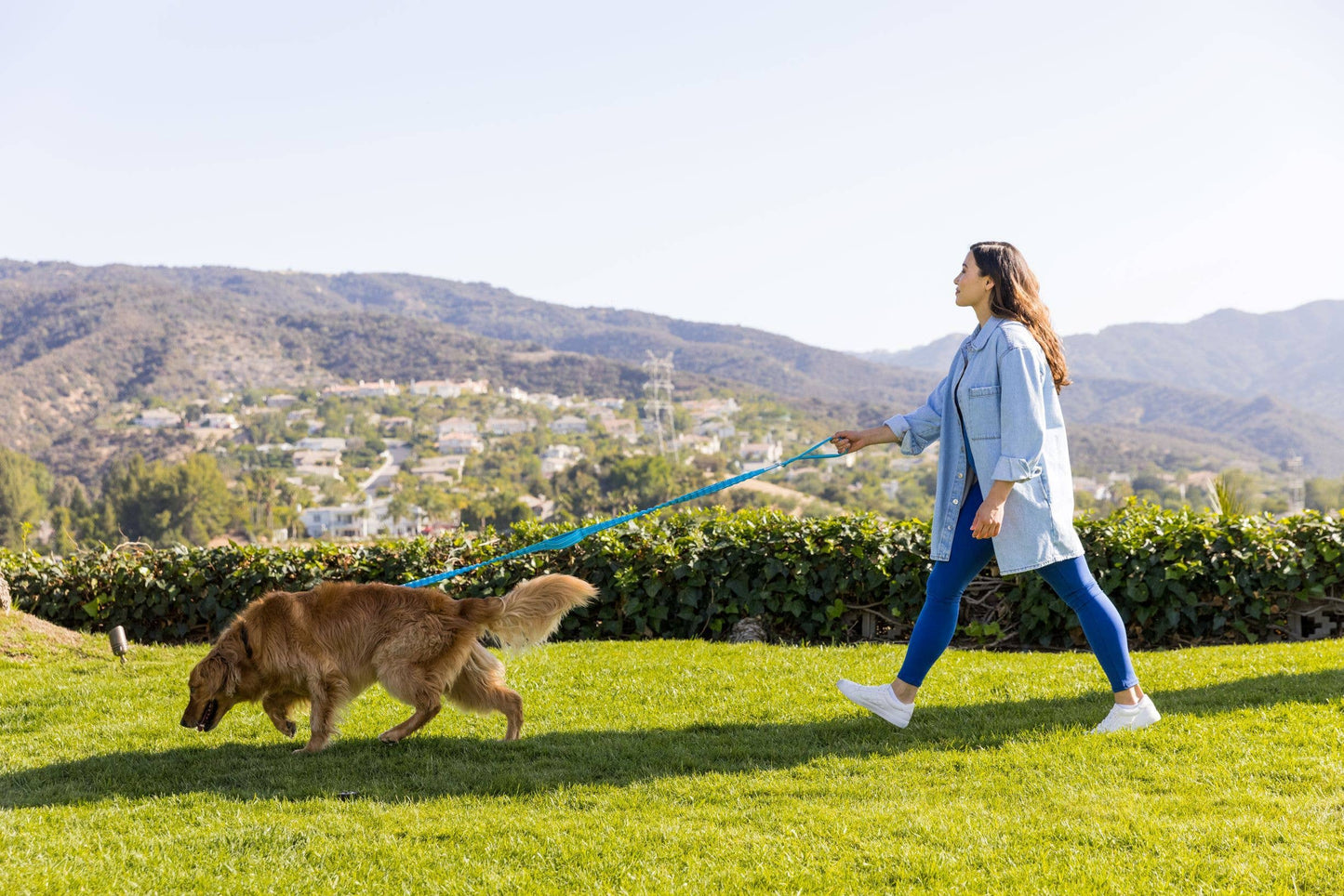 Shed Defender 3-Handle Leash: Black