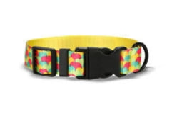 Classic Dog Set - Apple Party