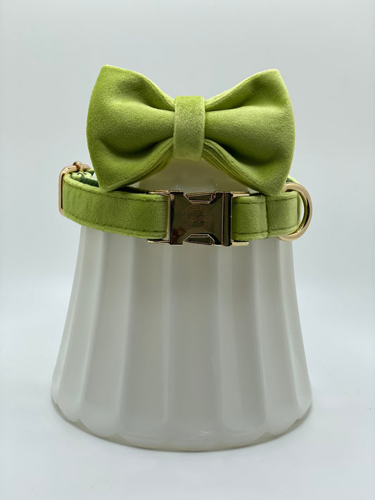 The Avocado Bowtie and Colllar Set