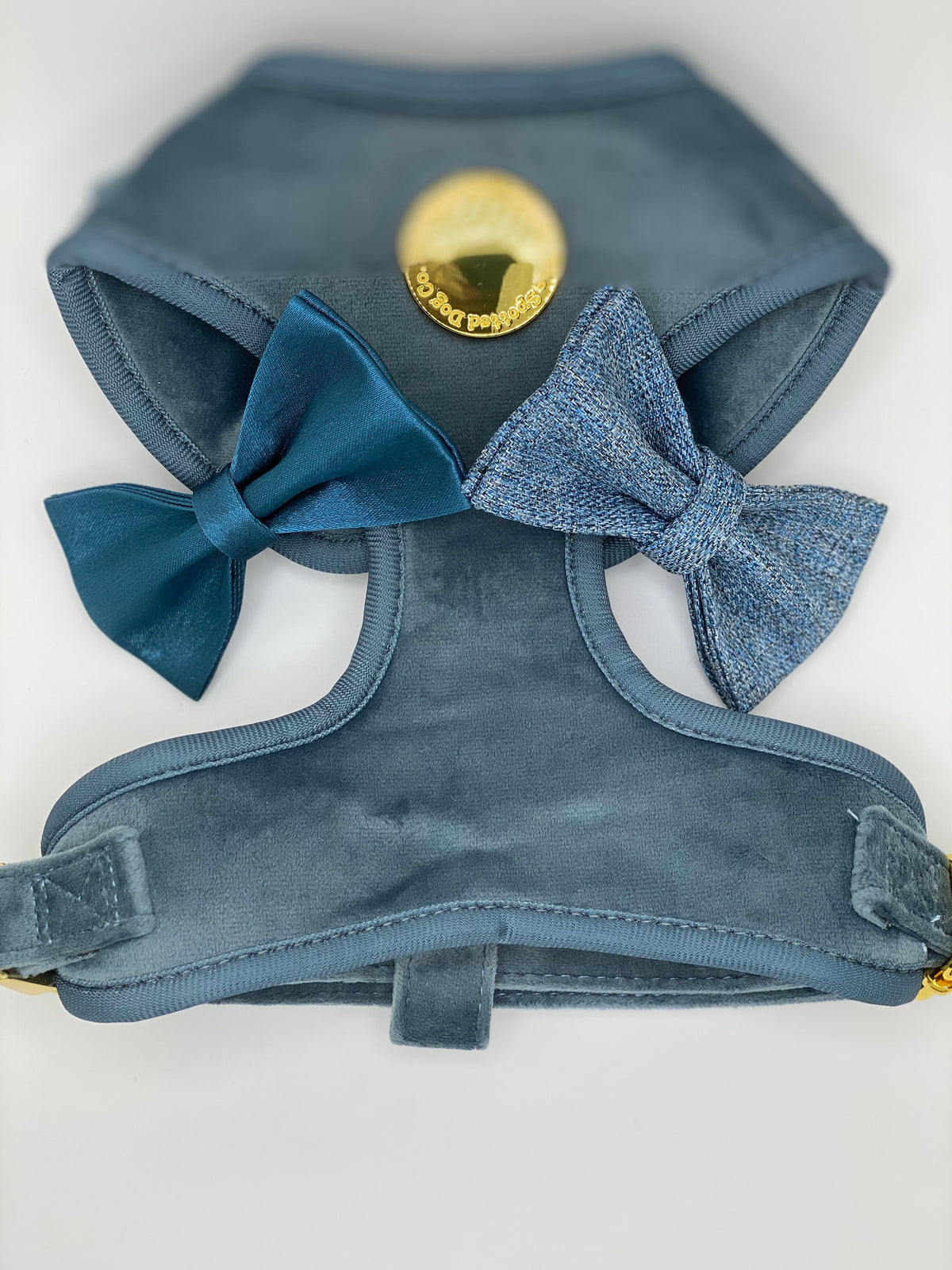 Petrol Velvet Harness