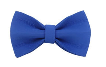 Classic Dog Set-Blue Tulip