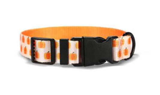 Candy Pumpkin Halloween Dog Collar
