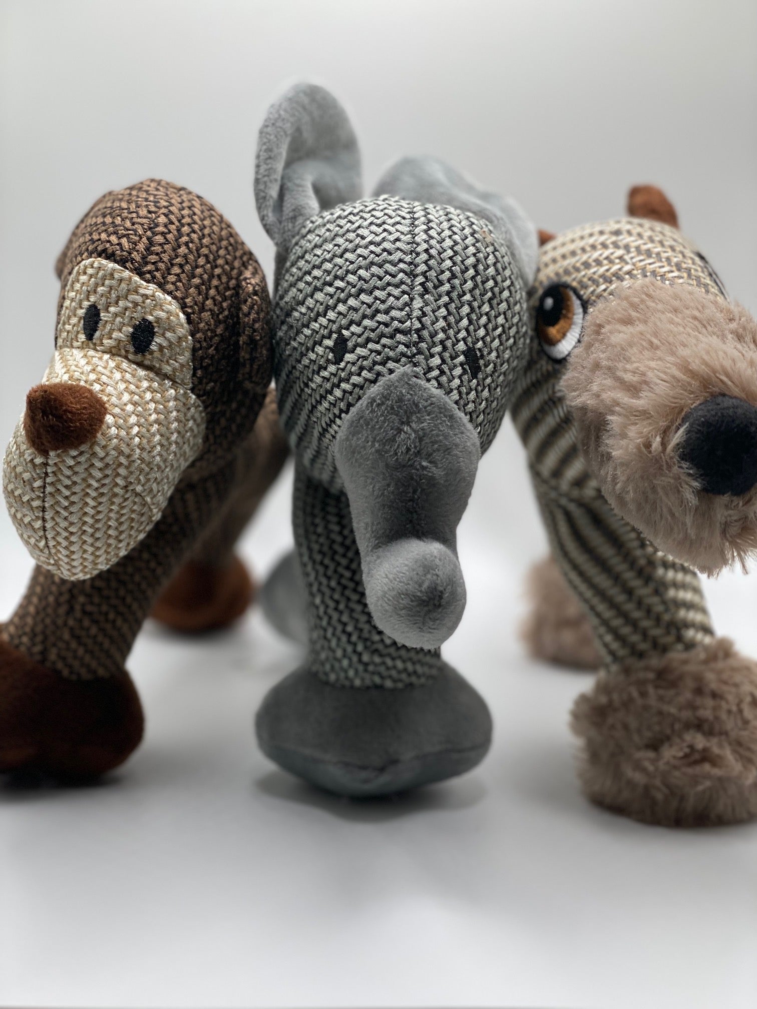 Nibs & Friends Dog Toys Misty's Closet