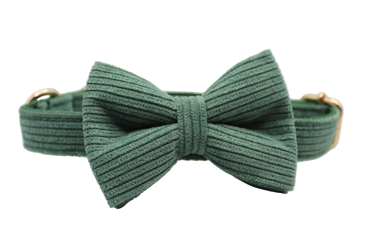 The Walking Dog Set- Dark Green Corduroy