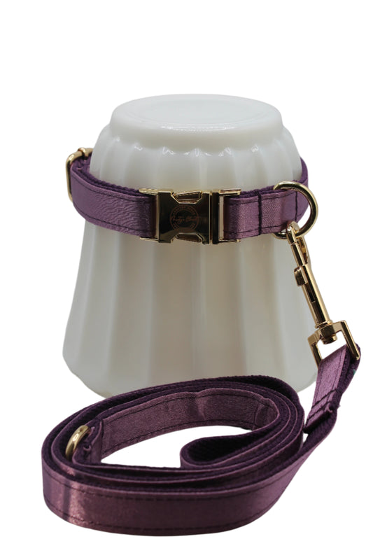 Dog Collar and Leash- Satin Grape