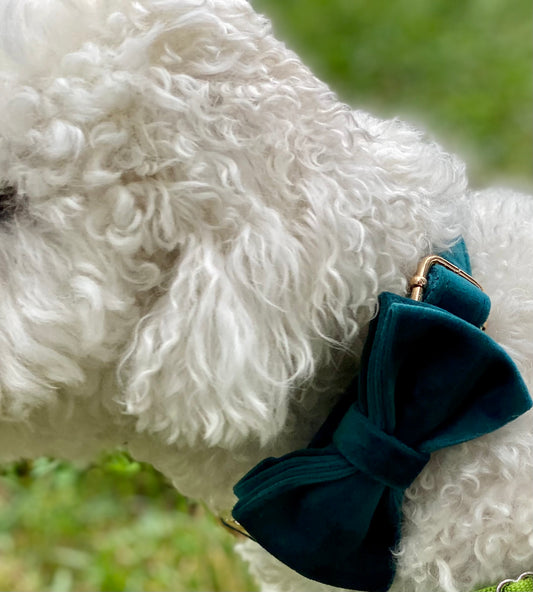 The Green Velvet Bowtie & Collar Set