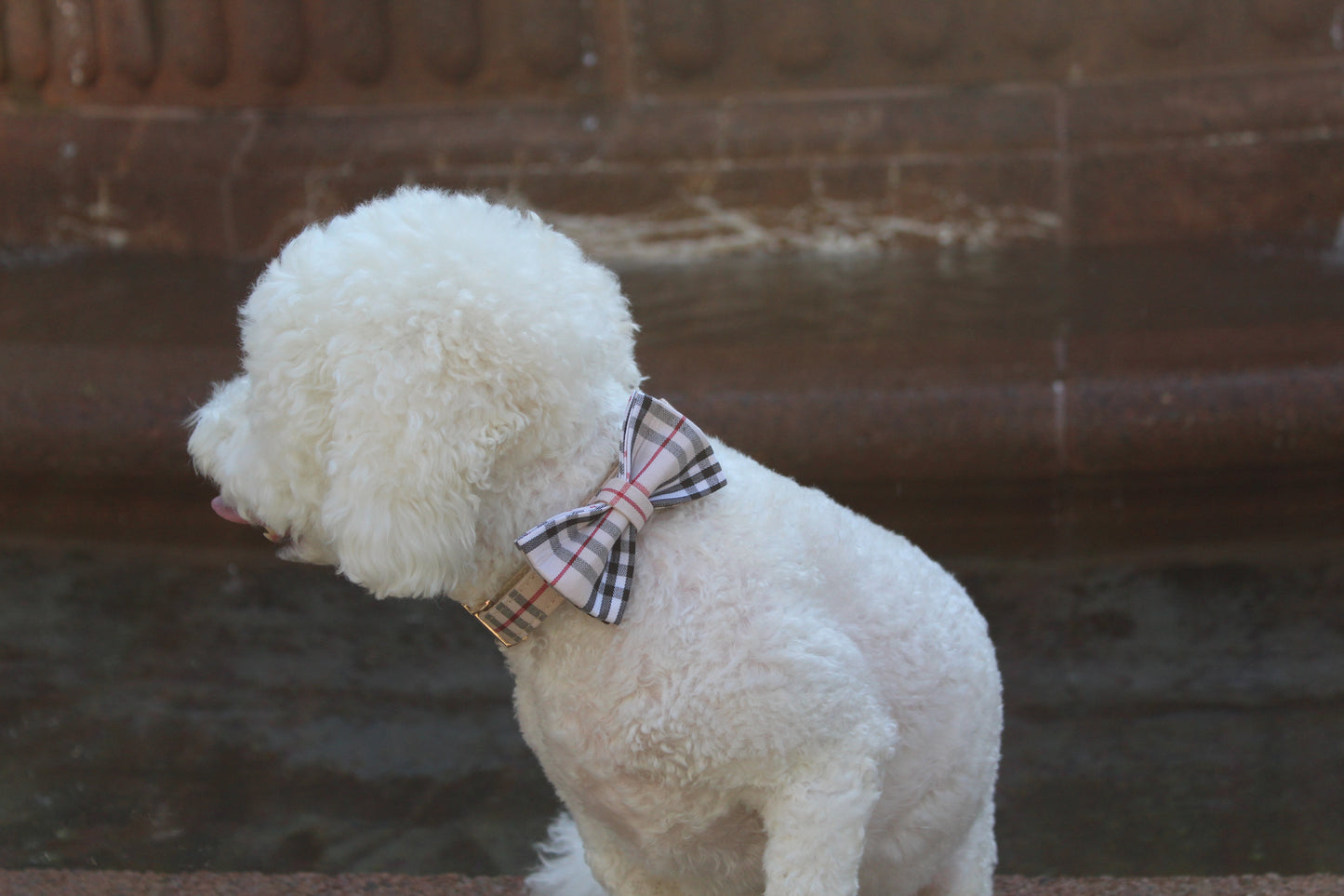 Classic Dog Collar & Bowtie Set – Khaki Plaid
