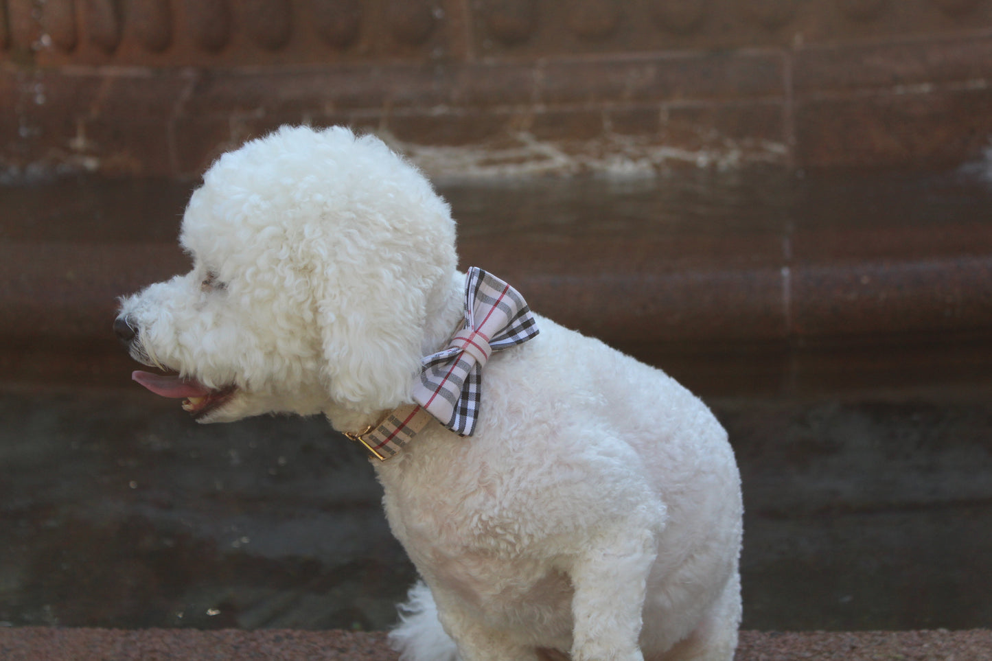 Classic Dog Collar & Bowtie Set – Khaki Plaid