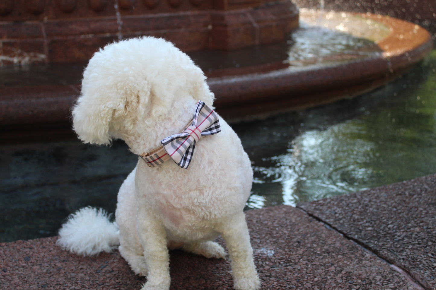 Classic Dog Collar & Bowtie Set – Khaki Plaid