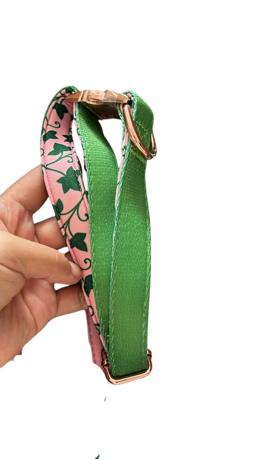 Ivy Collar (M)