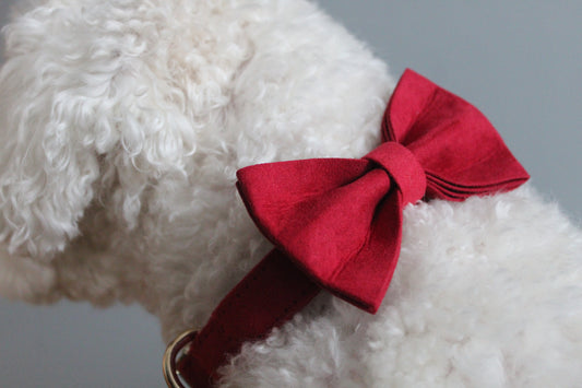 The Cherry Bowtie and Collar Set