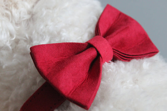 The Cherry Bowtie and Collar Set