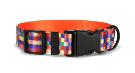 Classic Dog Set - Neon Plaid