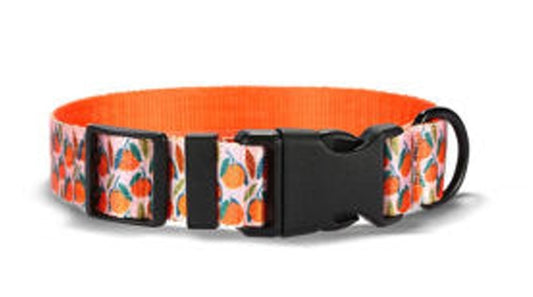 Classic Dog Set - Orange Basket