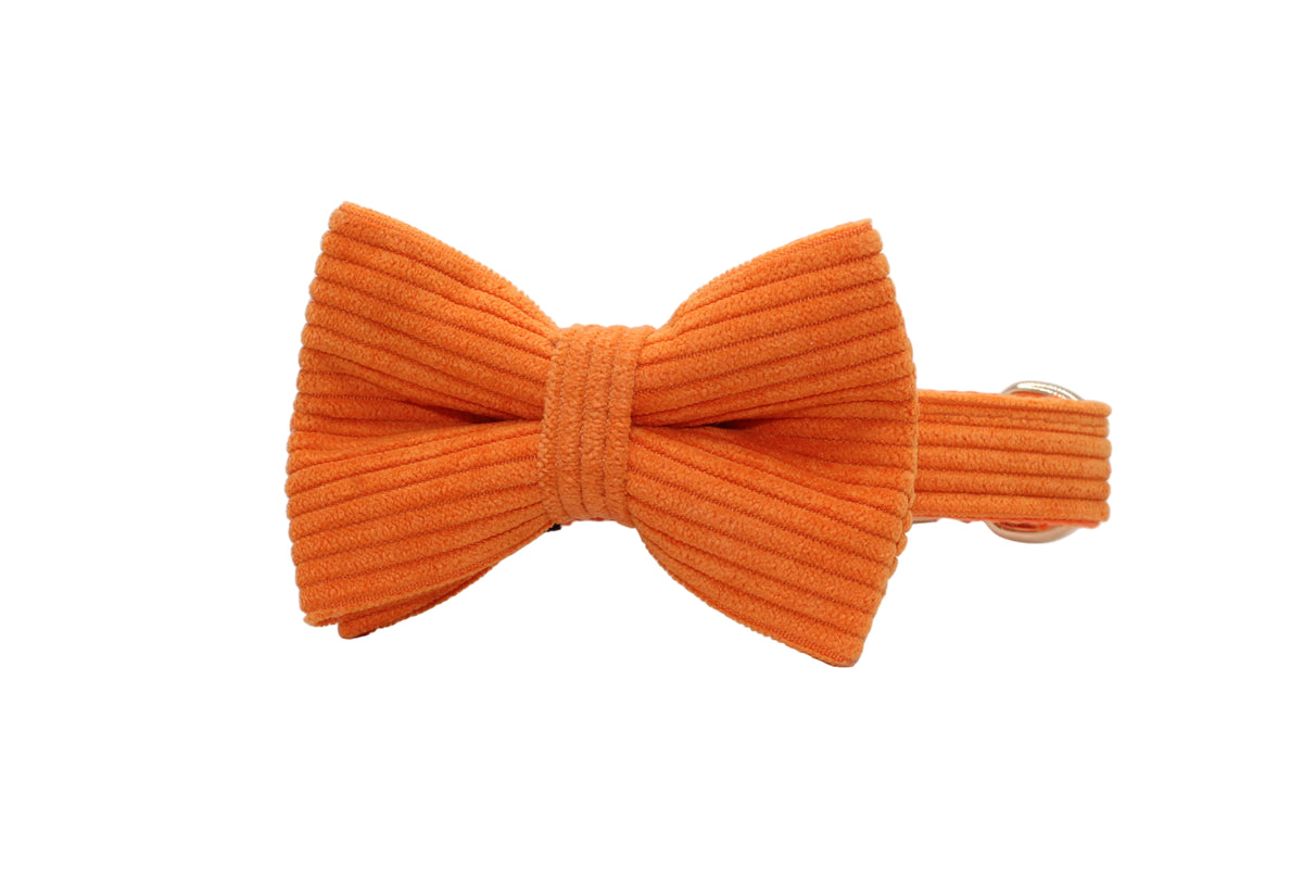 The Walking Dog Set – Orange Corduroy