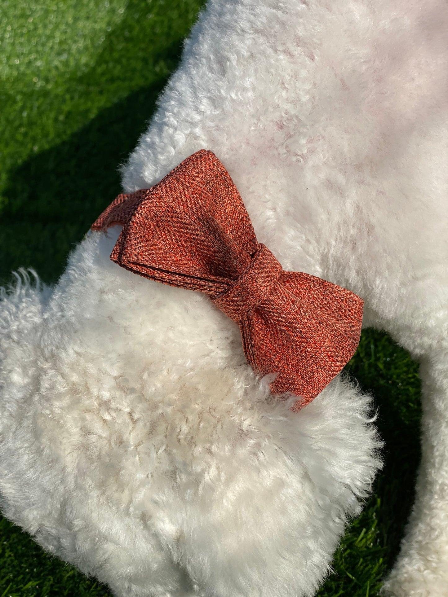 Dog Bowtie & Collar Set-The Orange Suit