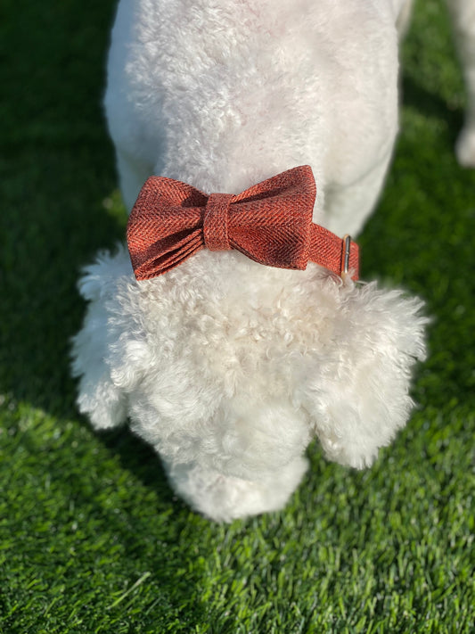 Dog Bowtie & Collar Set-The Orange Suit