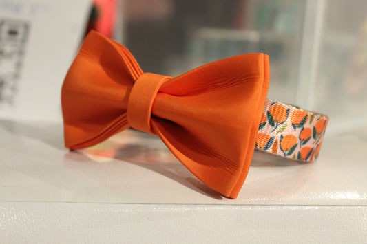 Classic Dog Set - Orange Basket