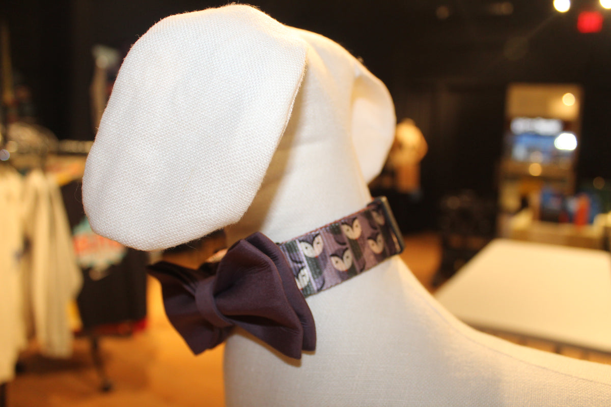 Focused Owl Halloween Dog Collar