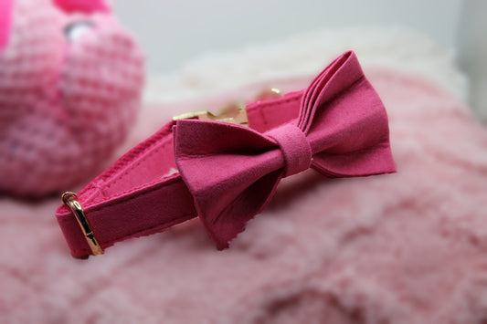 The Pink Bowtie & Collar Set