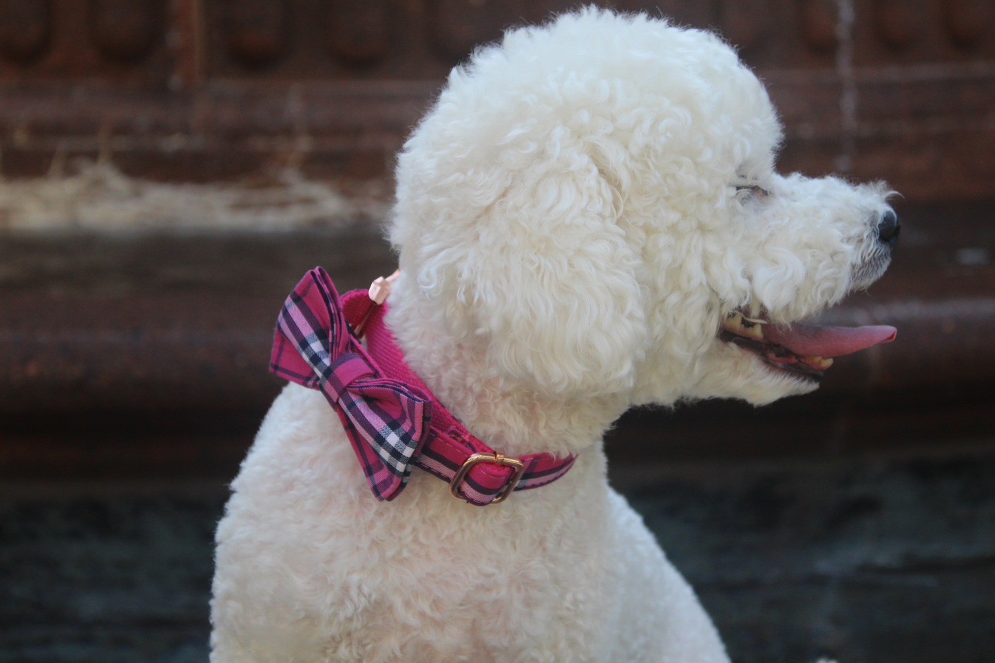 The Classic Dog Set- Pink Plaid Collar