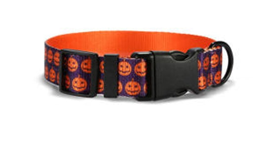Purple Pumpkin Halloween Dog Collar