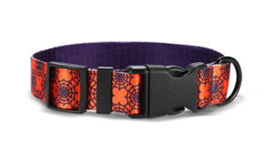Spider Web Halloween Dog Collar