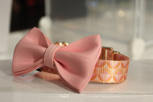 Classic Dog Set-Sunrise Flower