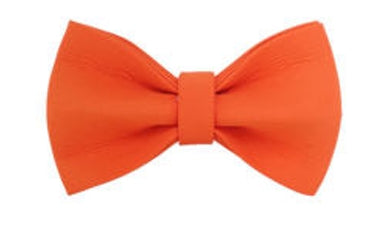 White Village Dog Bowtie Set | Limited Edition Holiday