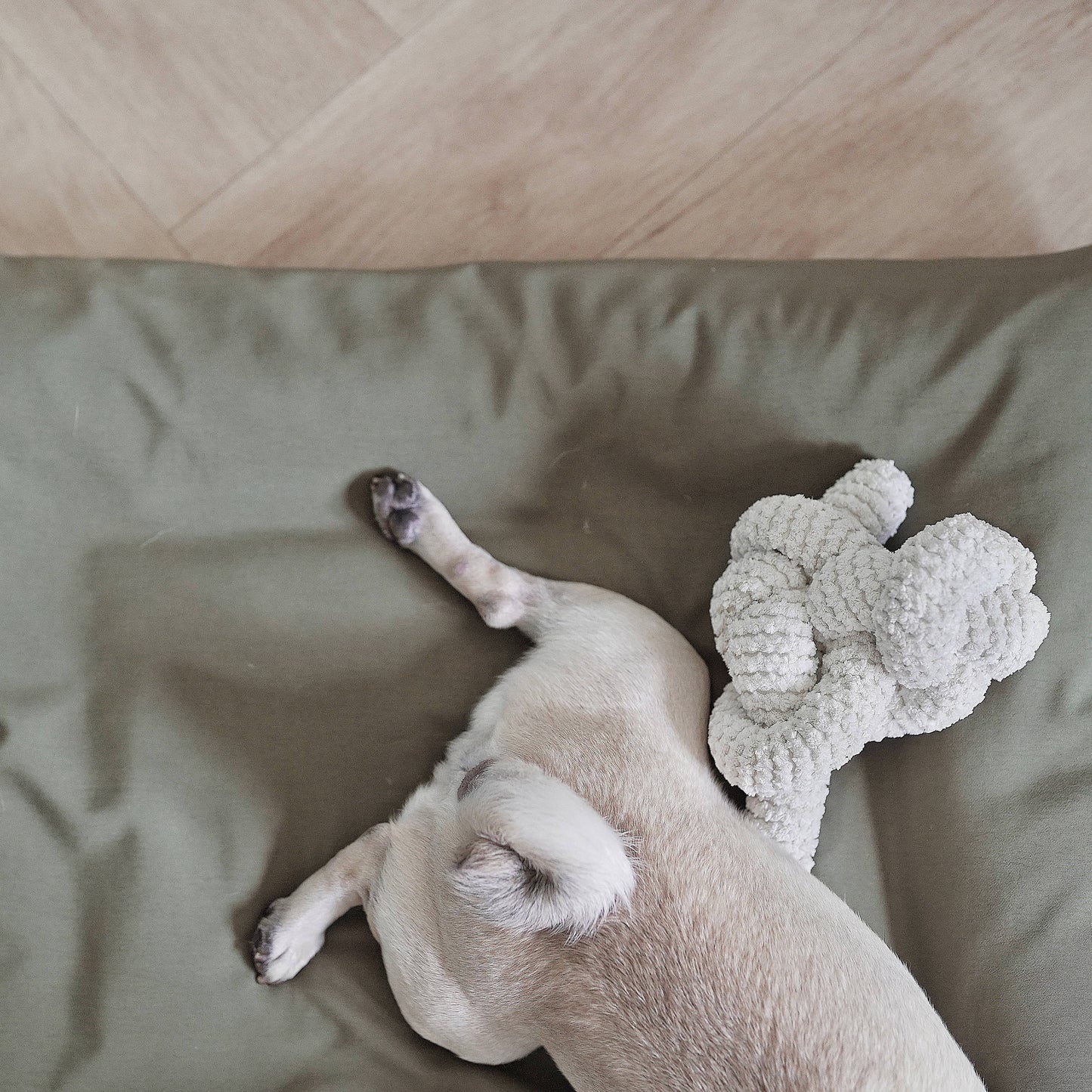 NOU | squeakers//ENRICHMENT DOG TOY: Taupe