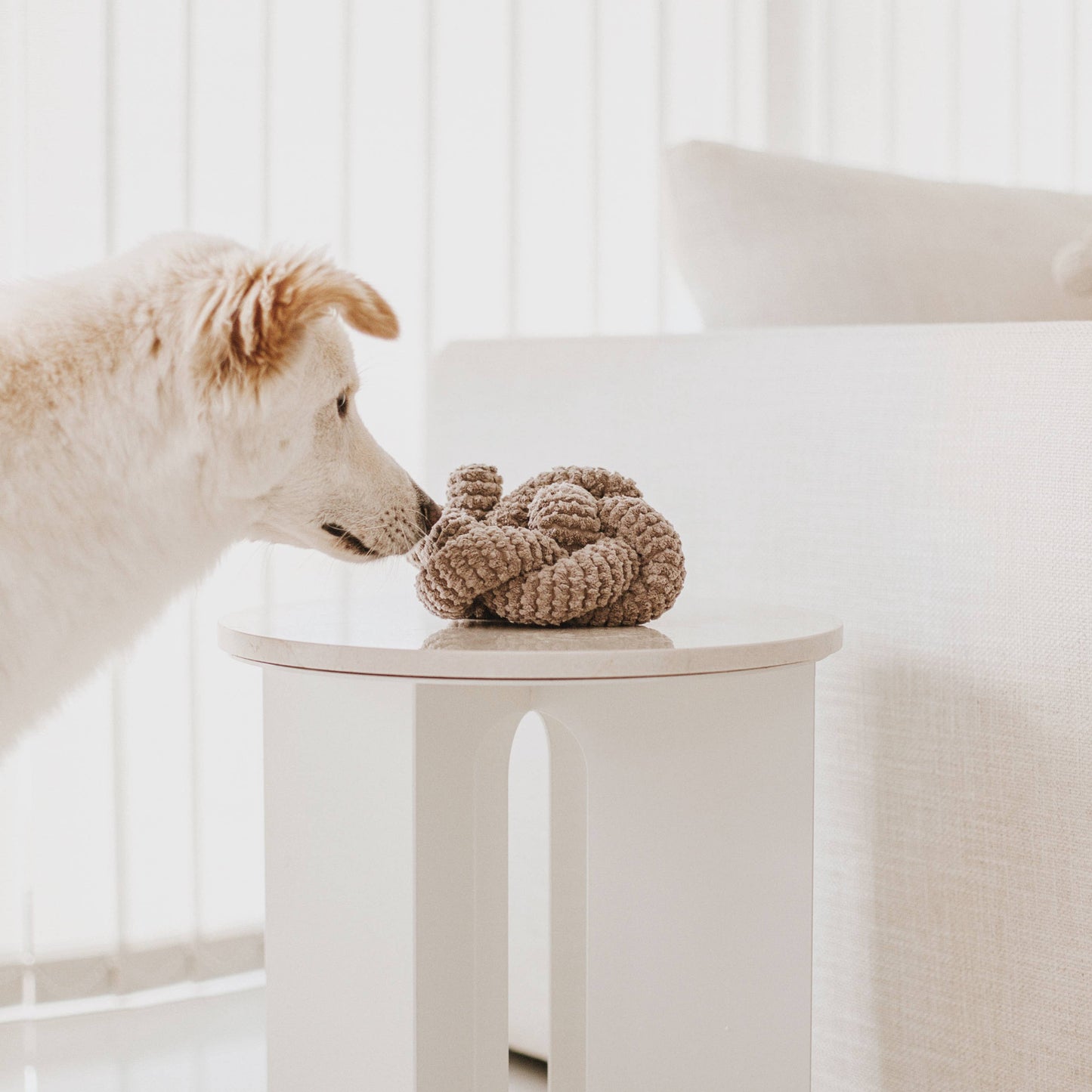 NOU | squeakers//ENRICHMENT DOG TOY: Taupe