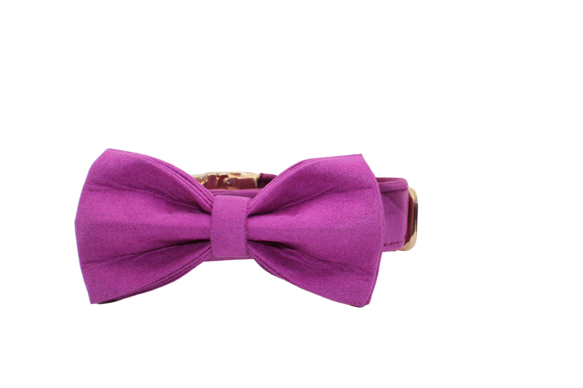 Classic Dog Set – Candy Purple