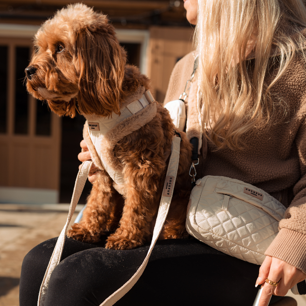 Quilted Adjustable Neck Harness