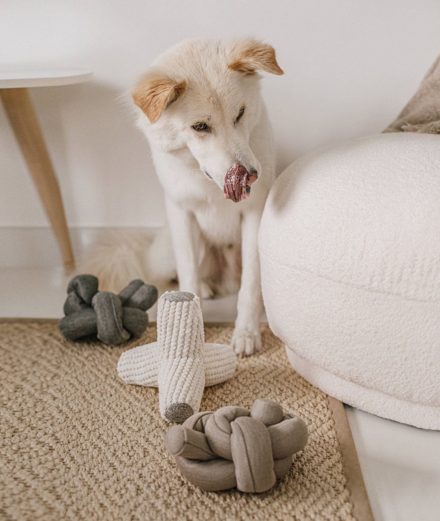 NOU with crinkle clusters/ENRICHMENT DOG TOY:Charcoal