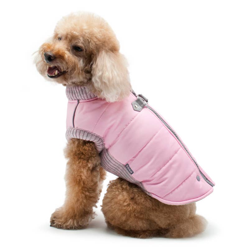 Athletic Zip-Up Dog Coat