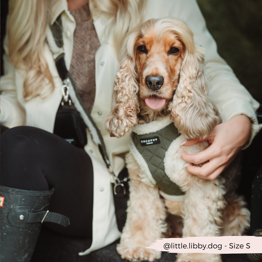 Khaki Quilted Adjustable Neck Harness