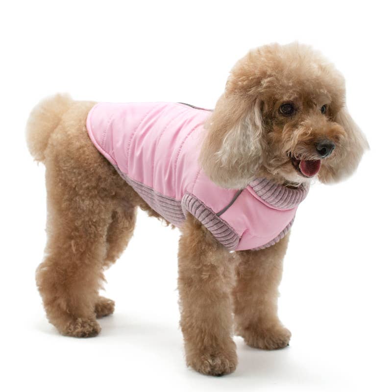 Athletic Zip-Up Dog Coat