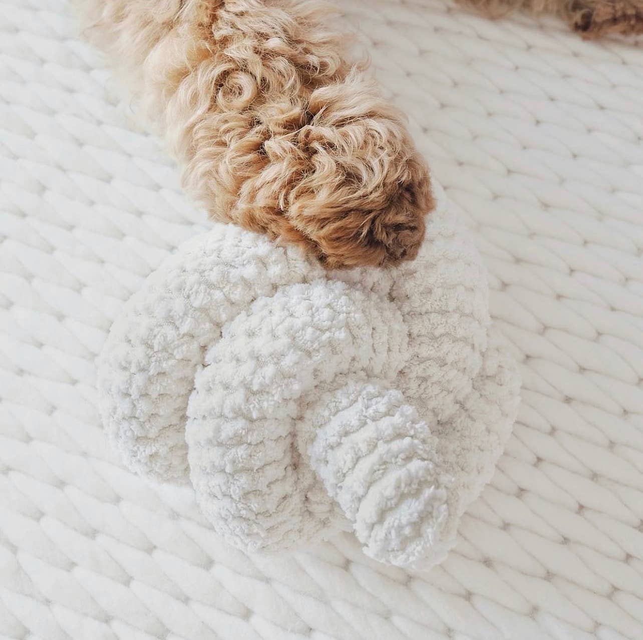 NOU | squeakers//ENRICHMENT DOG TOY: Taupe