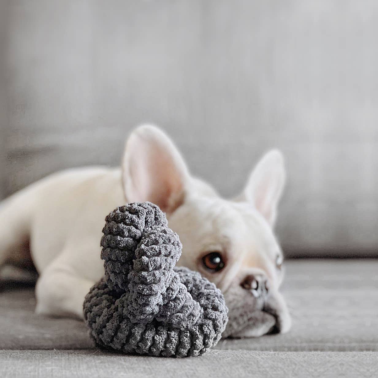 NOUNOUNOU | slate corduroy//ENRICHMENT DOG TOY