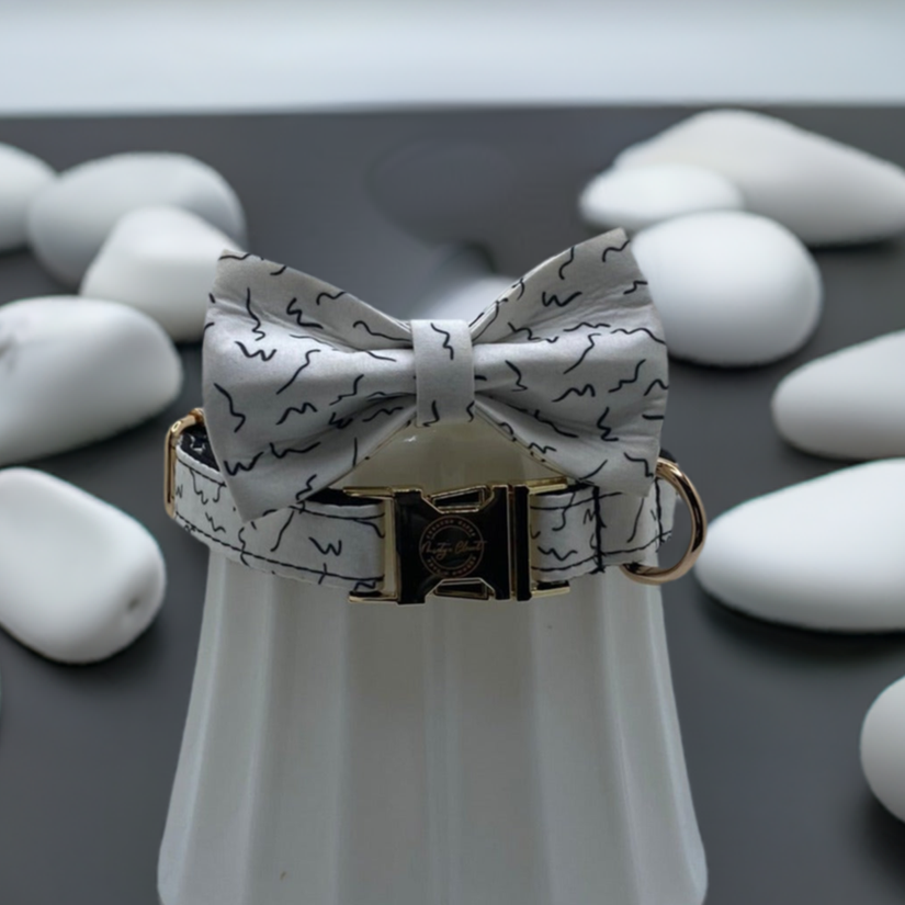 The Flying Writing Bow Tie & Collar Set