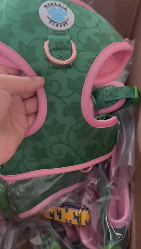 Ivy Harness