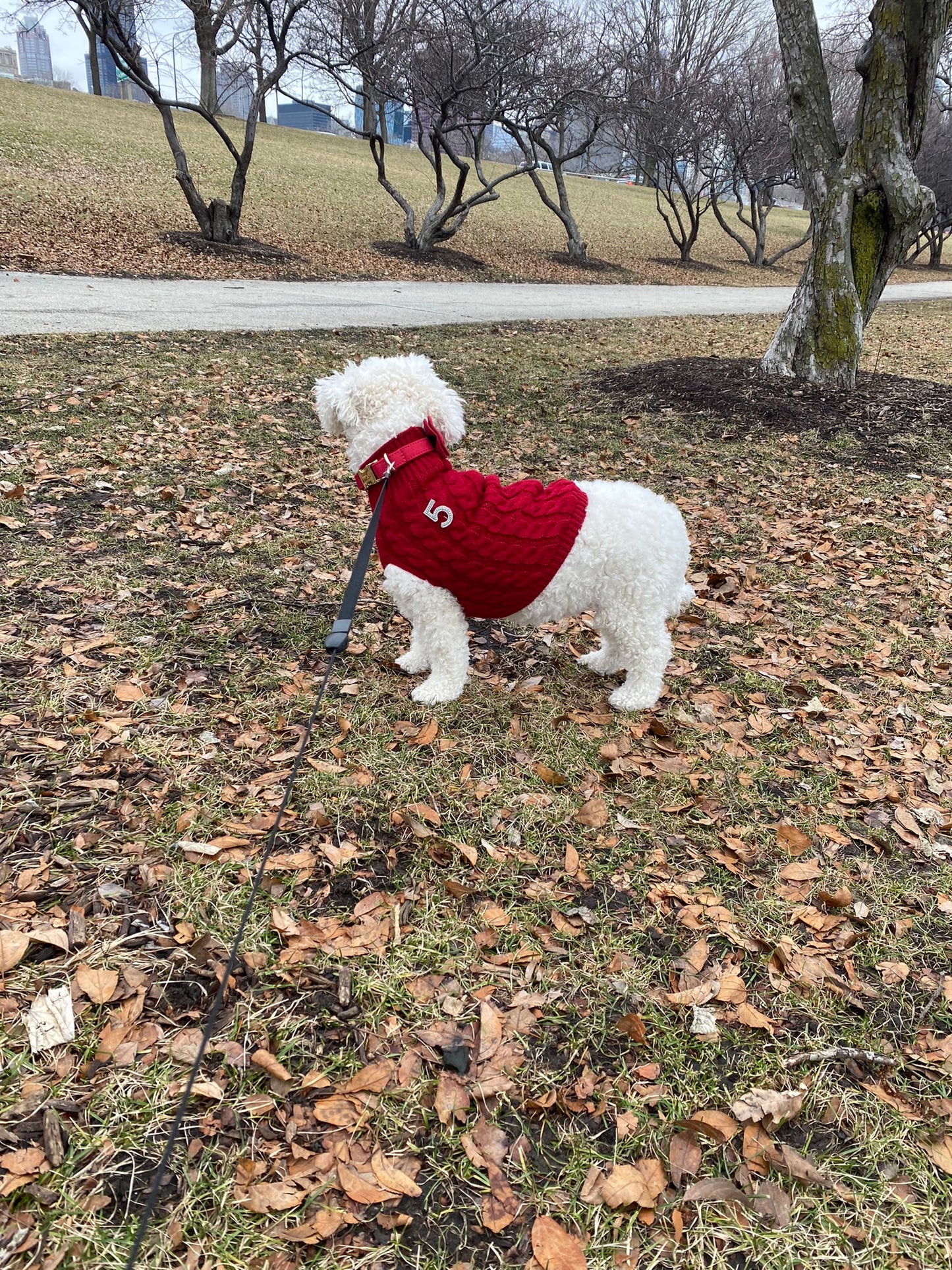 My Cozy No. 5 Knit Sweater