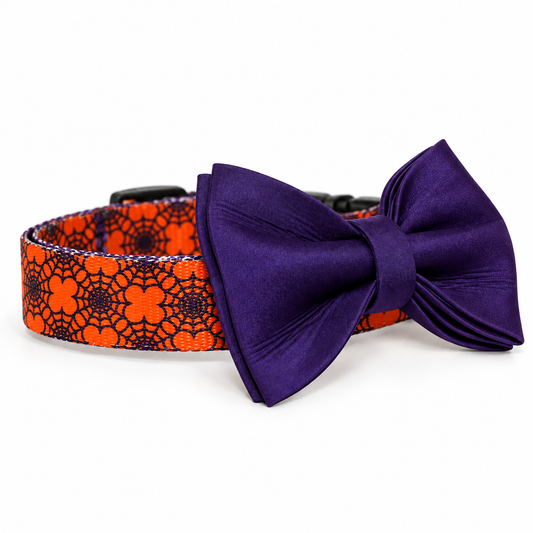 Spider Web Halloween Dog Collar